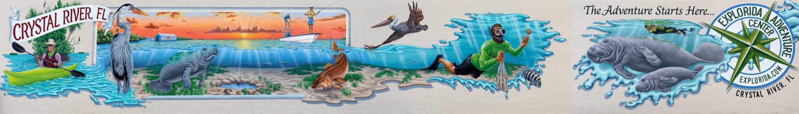 Swim with Manatees in Crystal River