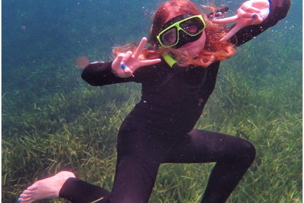 Swim with Manatees in Crystal River Swim with Manatees in Crystal River