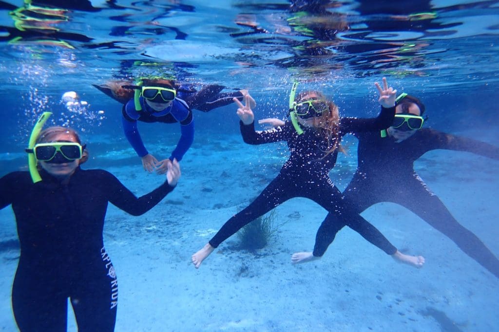 Swim with Manatees in Crystal River Swim with Manatees in Crystal River