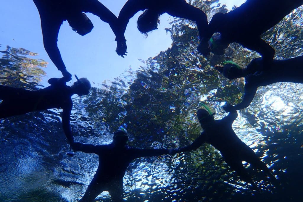 Swim with Manatees in Crystal River Swim with Manatees in Crystal River